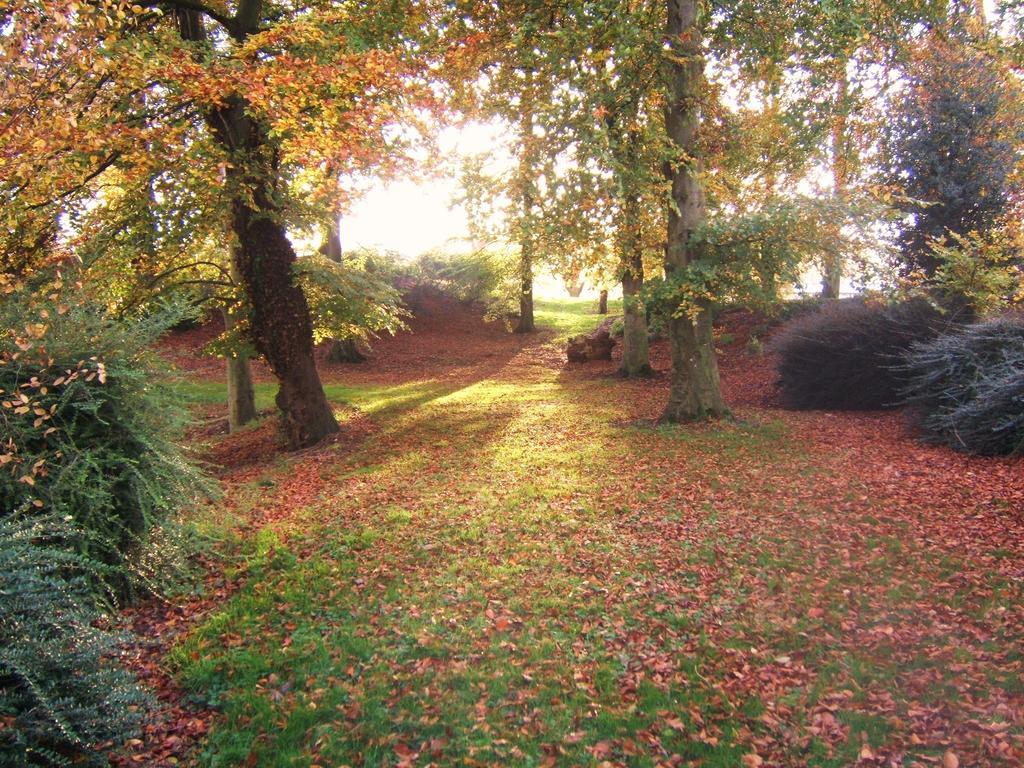 Coolanowle Self Catering Holiday Accommodation カーロー エクステリア 写真